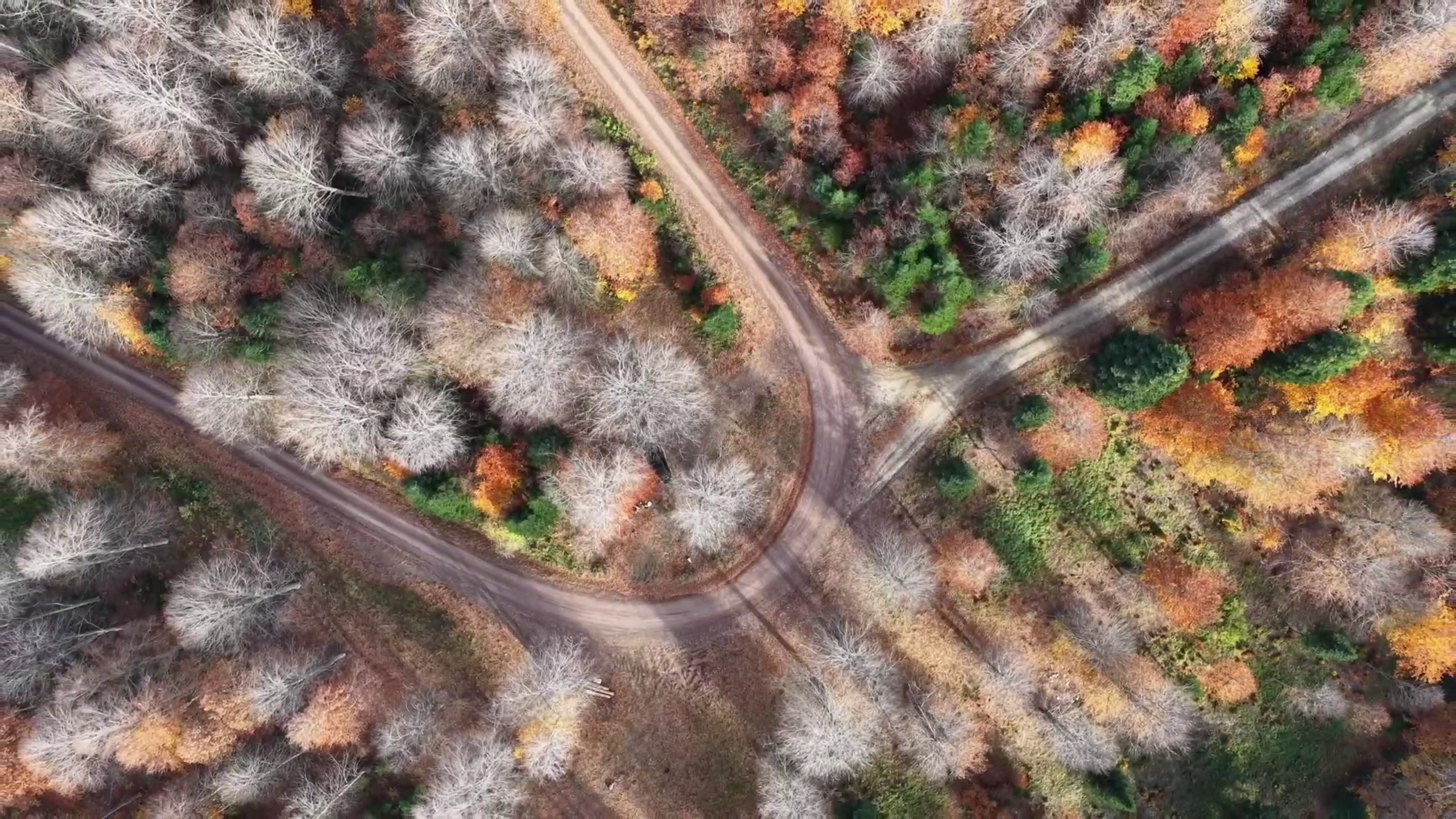 B O L U M E N G E N D E S O N B A H A R G U Z E L L I G I 999484 296545