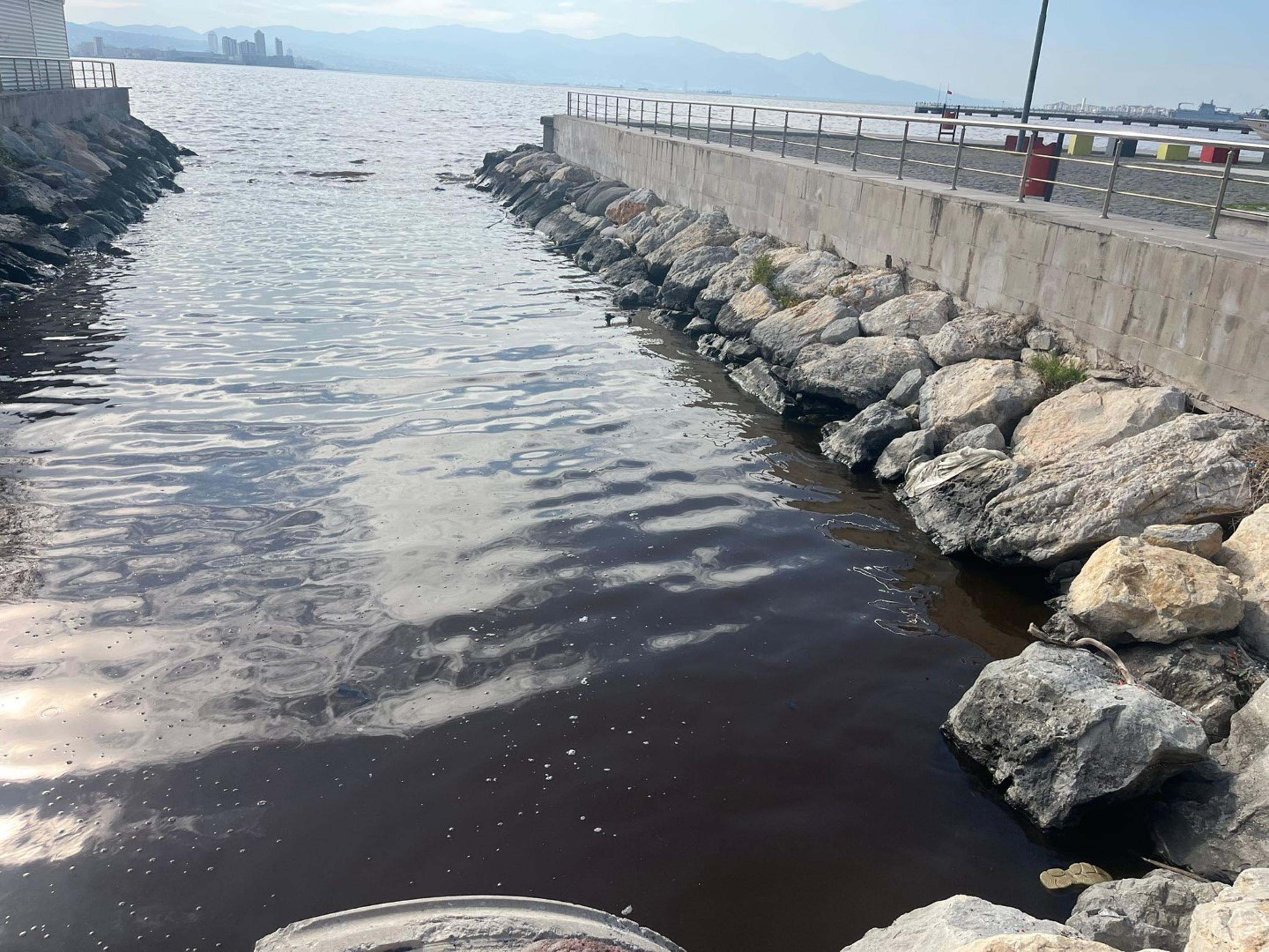 I Z M I R K O R F E Z I N D E K O T U K O K U S U R U Y O R D E N 1008806 299243