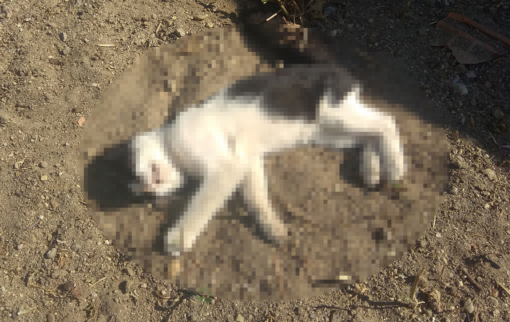 K E D I L E R I A V T U F E G I I L E O L D U R D U G U I D D I A E 1034327 306943