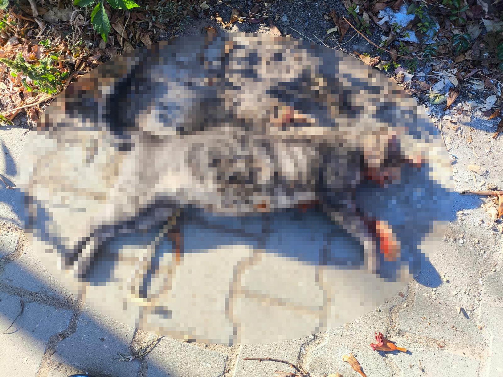 K E D I L E R I A V T U F E G I I L E O L D U R D U G U I D D I A E 1034328 306943