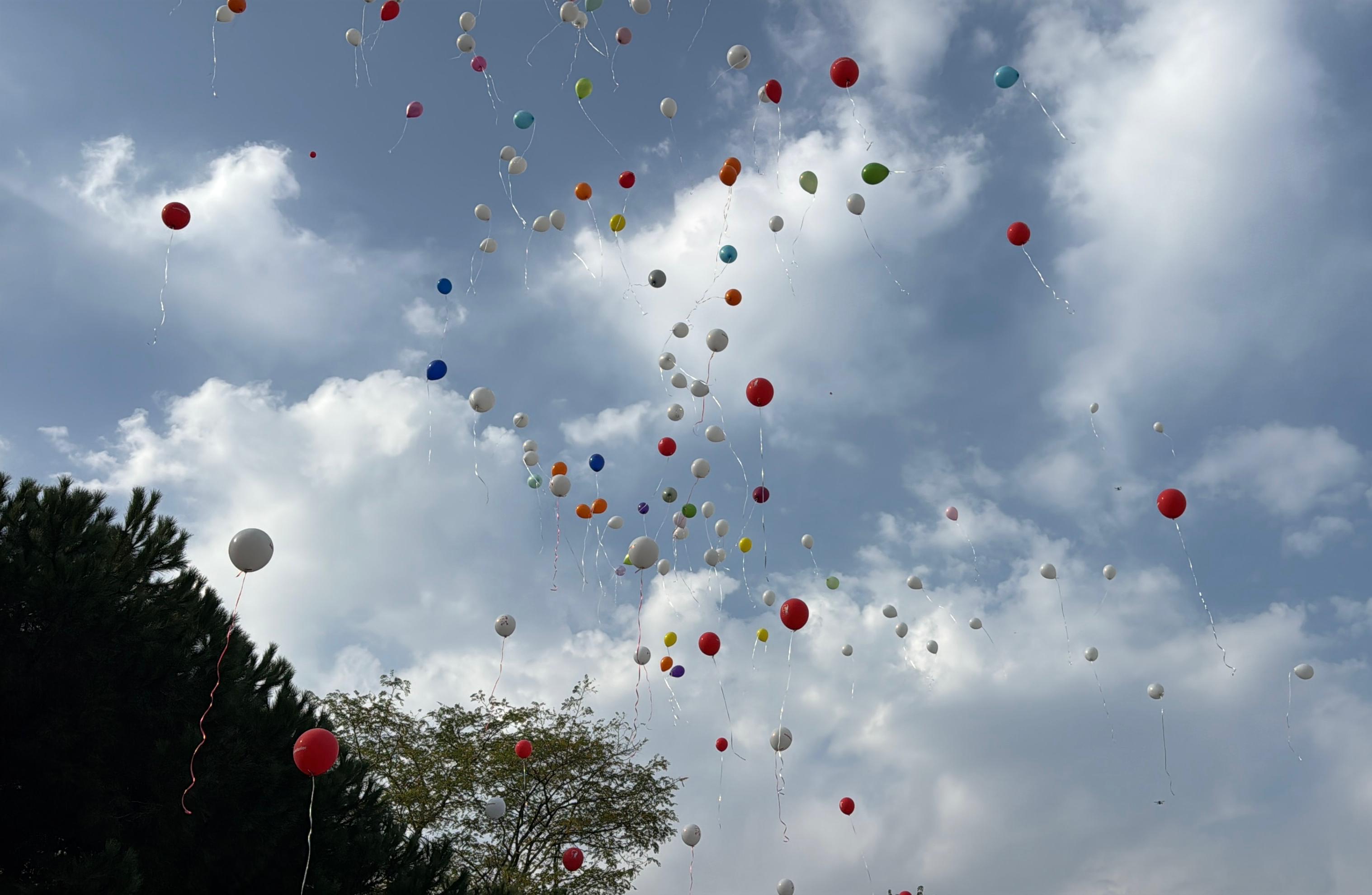 L O S E M I Y I Y E N E N M I R Z A I C I N Y U Z L E C E B A L O N 1003555 297765