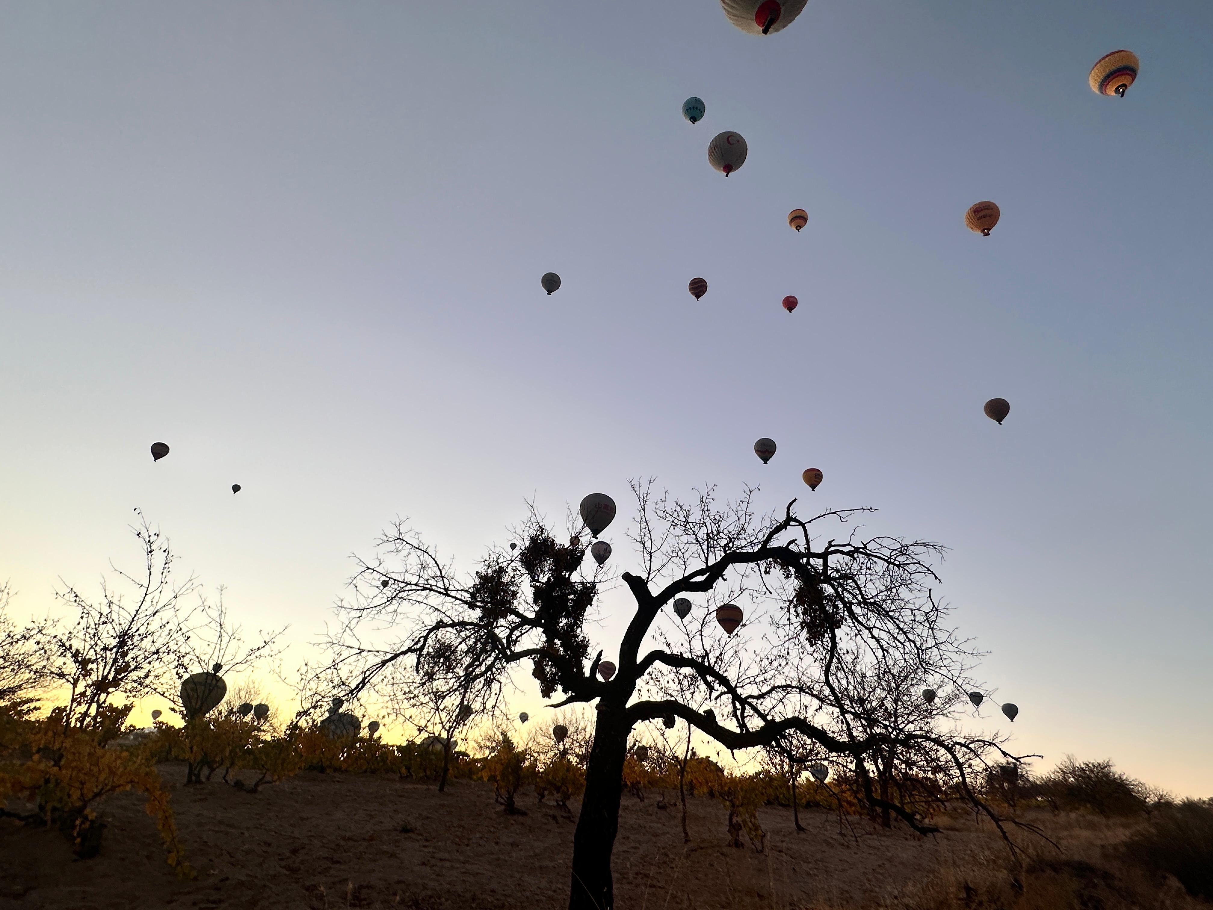 N E V S E H I R K A P A D O K Y A D A S O N B A H A R G U Z E L L I G 995107 295209