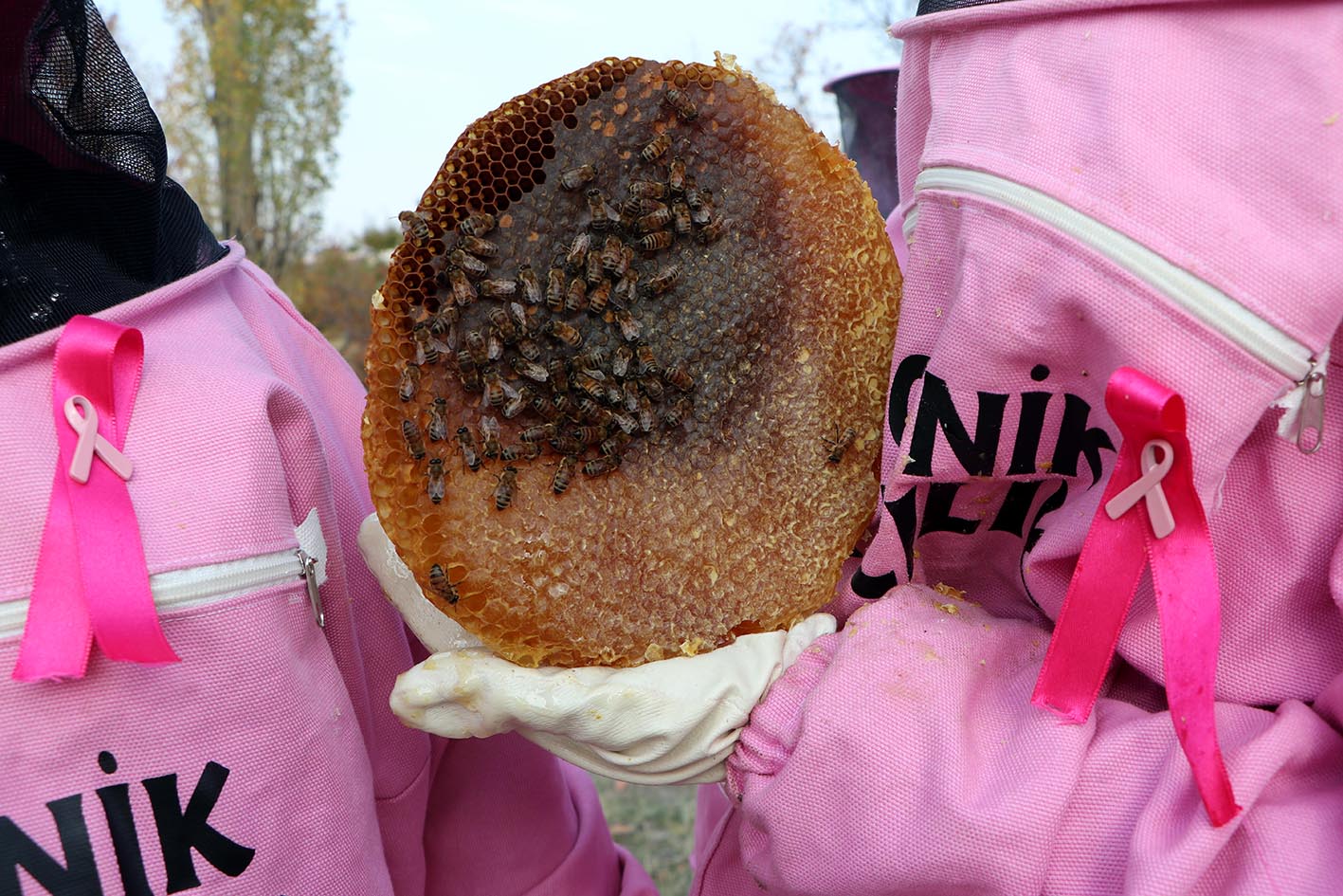 P E M B E M A S K E L I A R I C I K A D I N L A R B A L H A S A D I 1008997 299272