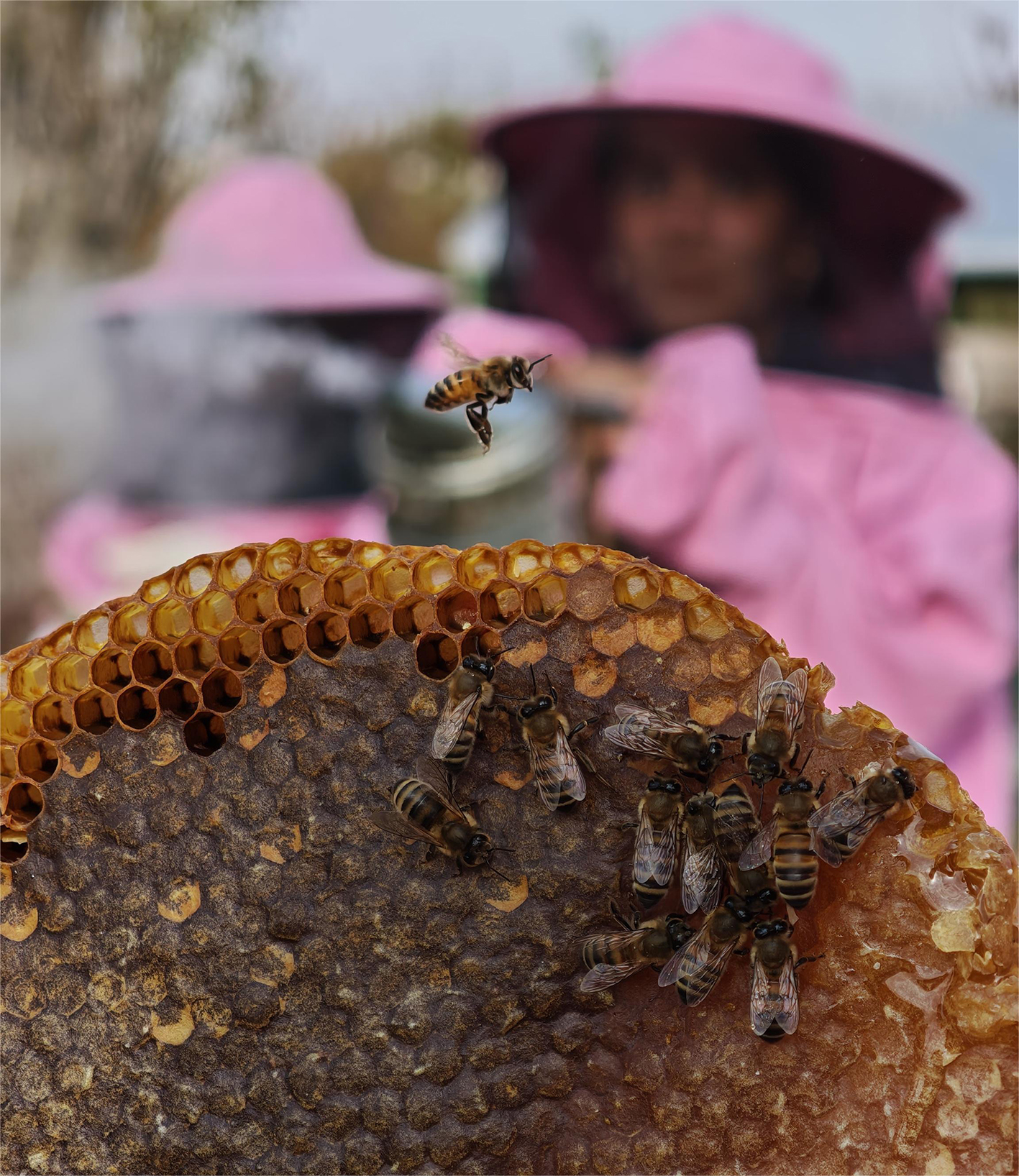 P E M B E M A S K E L I A R I C I K A D I N L A R B A L H A S A D I 1009000 299272