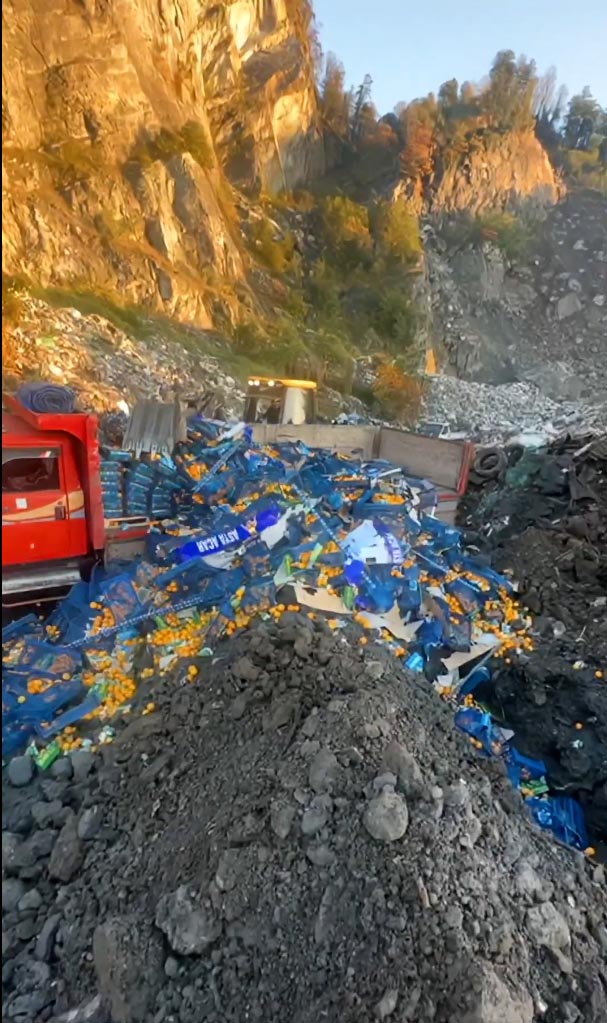 S A R P S I N I R K A P I S I N D A 6 T O N M A N D A L I N A I M 1026137 304399-1