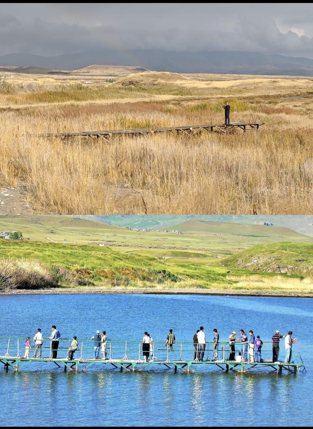 V A N G O L U N D E K I C E K I L M E F O T O G R A F L A R D A 994581 295079