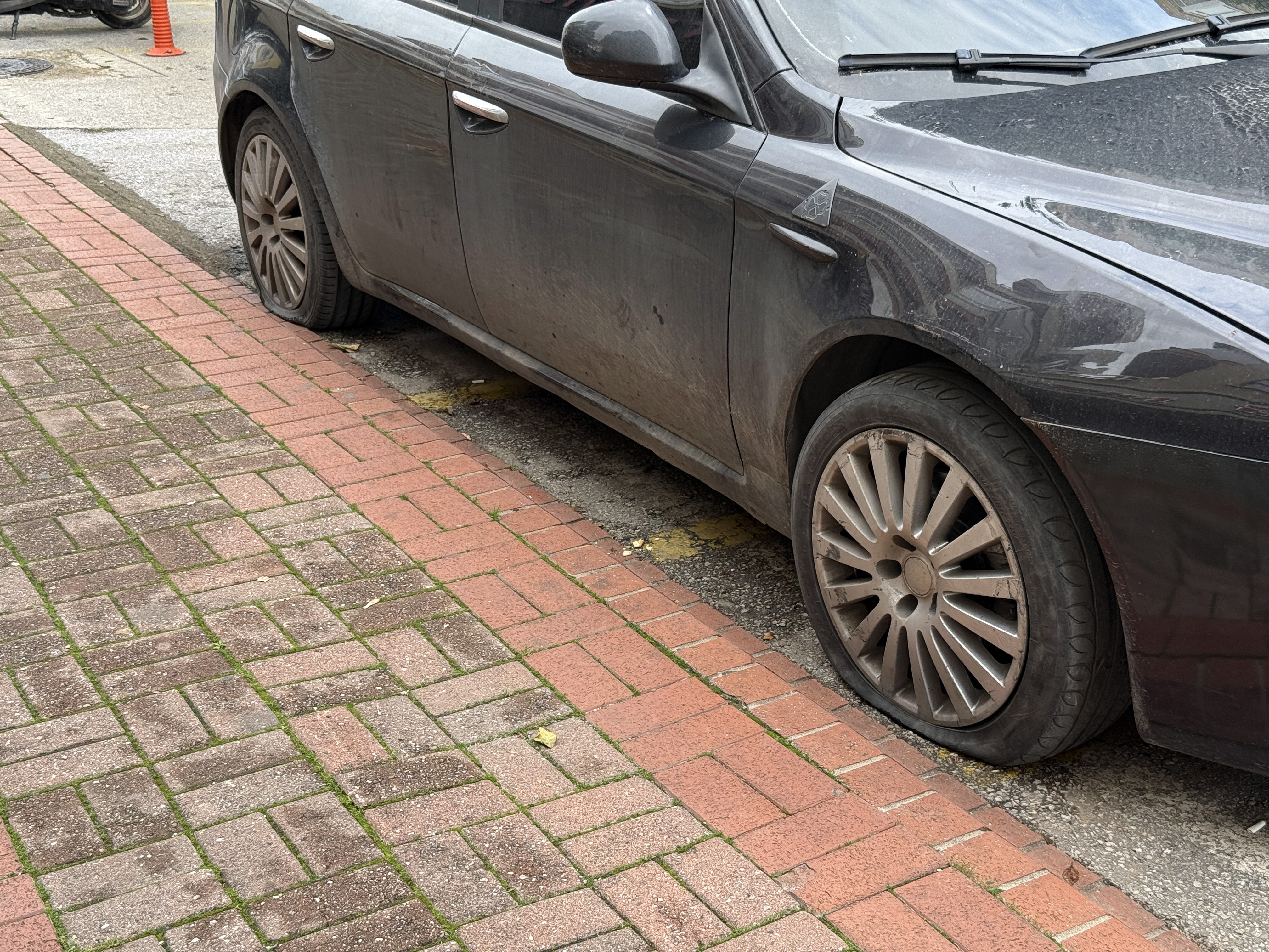 20 Y E Y A K I N A R A C I N L A S T I K L E R I N I P A T L A T I P 1076901 319515