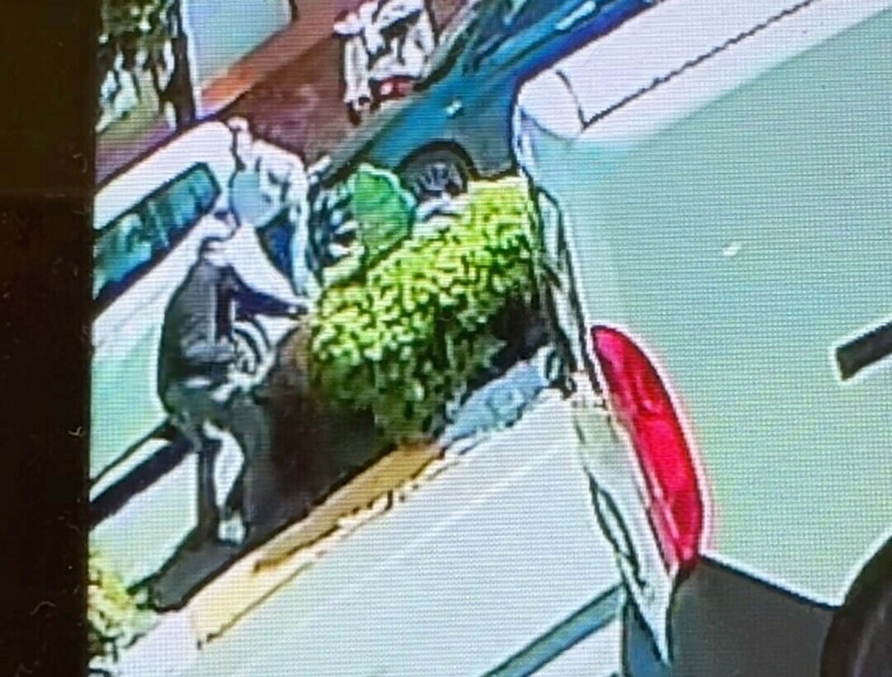 A D L I Y E O N U N D E K I K A V G A D A G A M Z E Y I B I C A K L A 1054847 313027