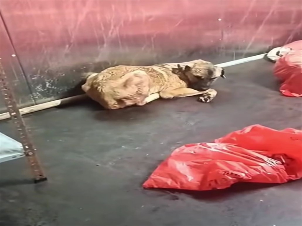 A N K A R A B U Y U K S E H I R B E L E D I Y E S I N D E N B A R I N 1083320 321537