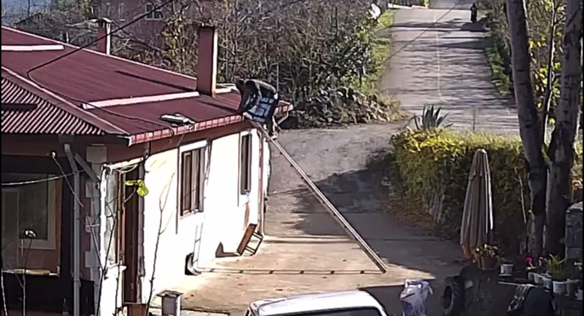 B A C A S A P K A S I N I D E G I S T I R M E K I C I N C I K T I G I 1083437 321581