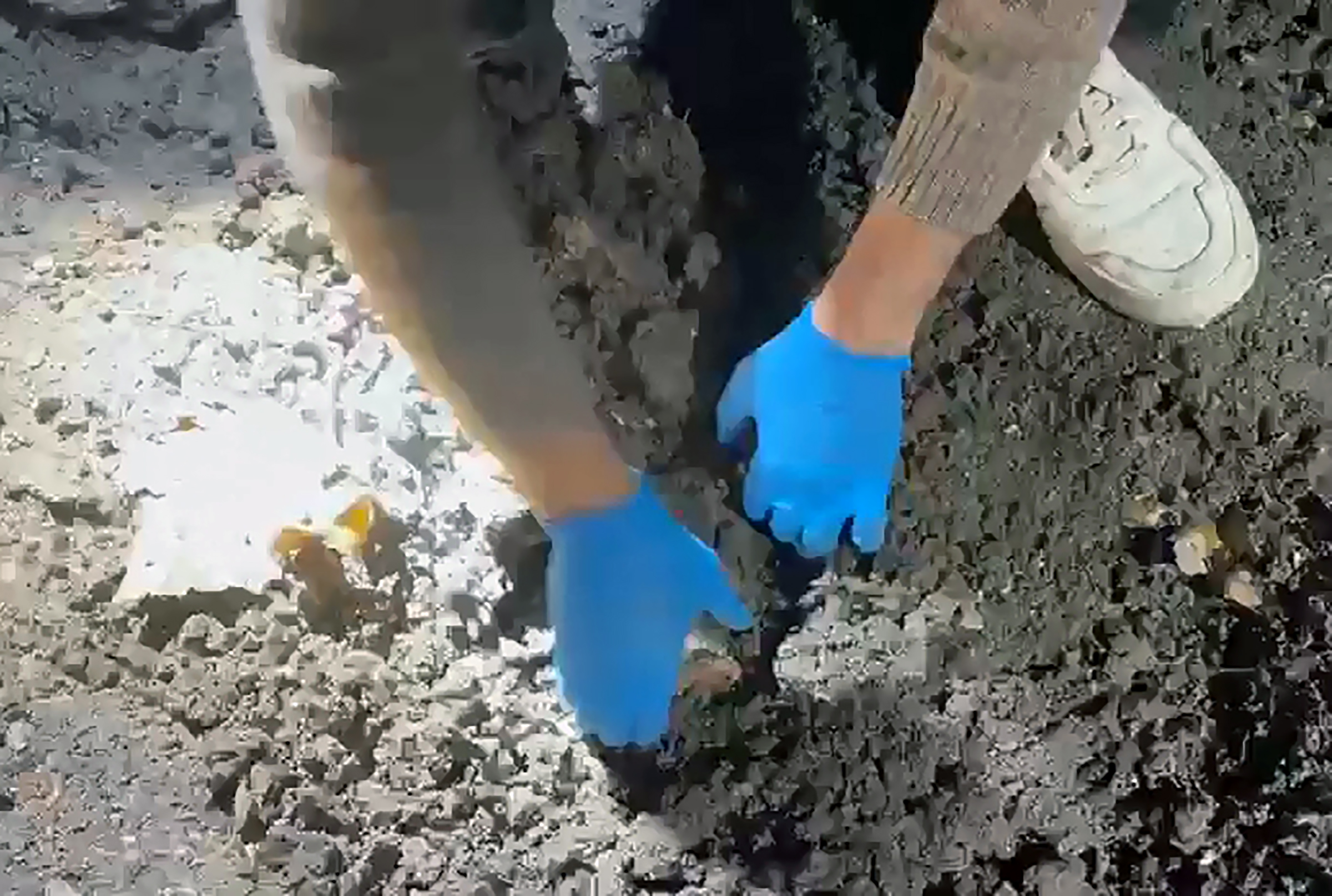 B A H C E S I N D E E L B O M B A S I V E E Y P E L E G E C I R I L 1052886 312156