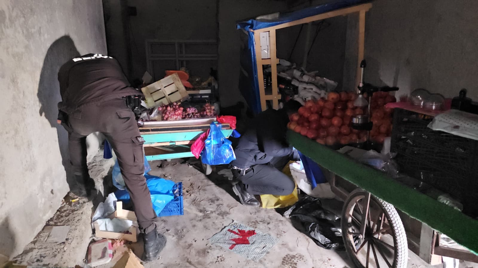 E D I R N E’ D E B I R D E P O D A S E N T E T I K E C Z A V E K A 1087044 322657