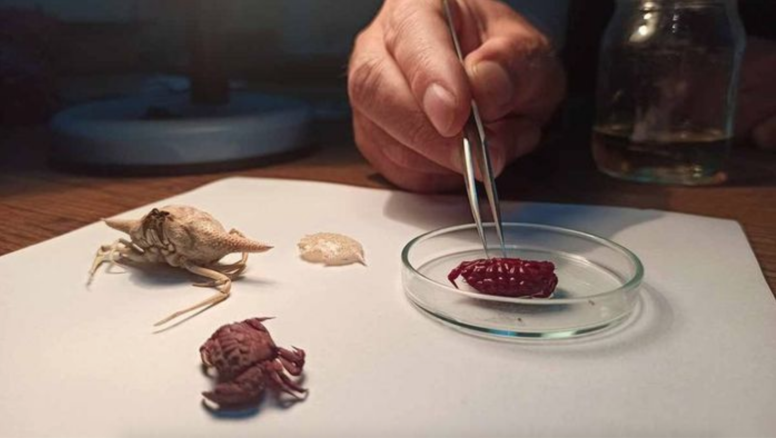 Ekran Resmi 2025 12 16 13.45.27-1