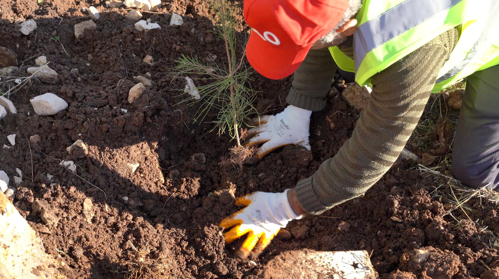 G A B A R D A F I D A N D I K I M S E F E R B E R L I G I 1073339 318486