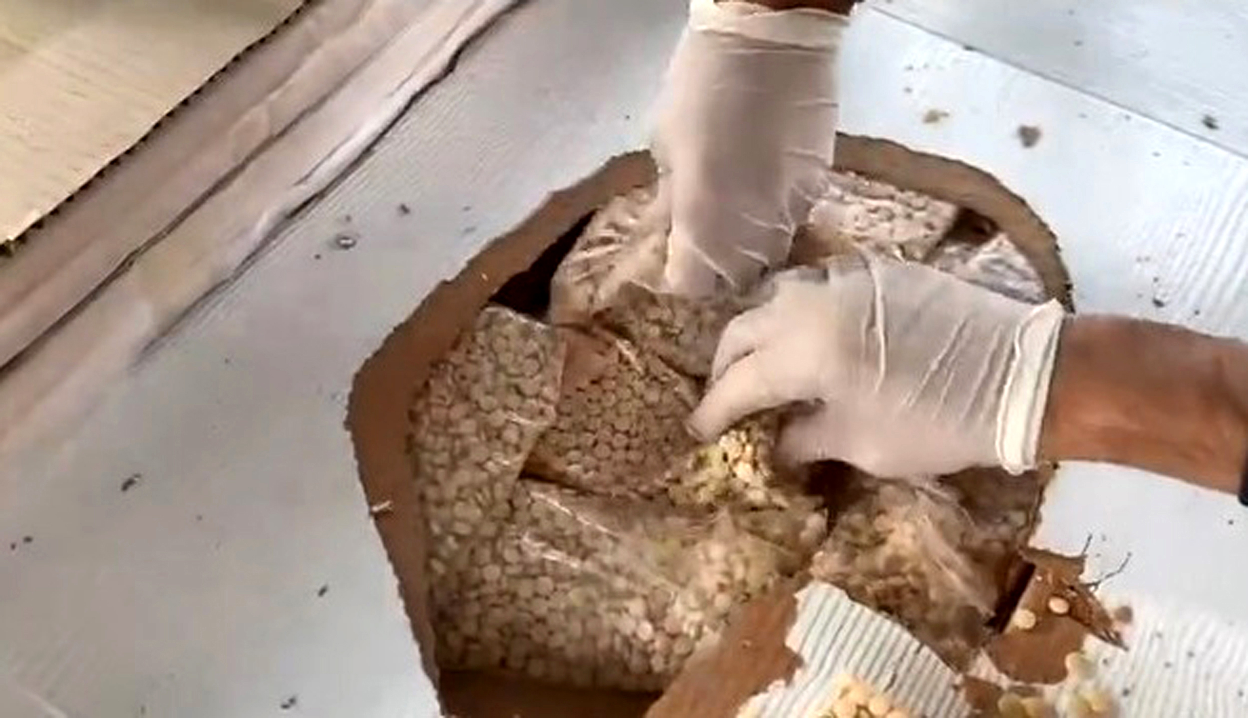 G U M R U K L E R D E R E K O R 33 T O N 198 K I L O U Y U S T 1079005 320217