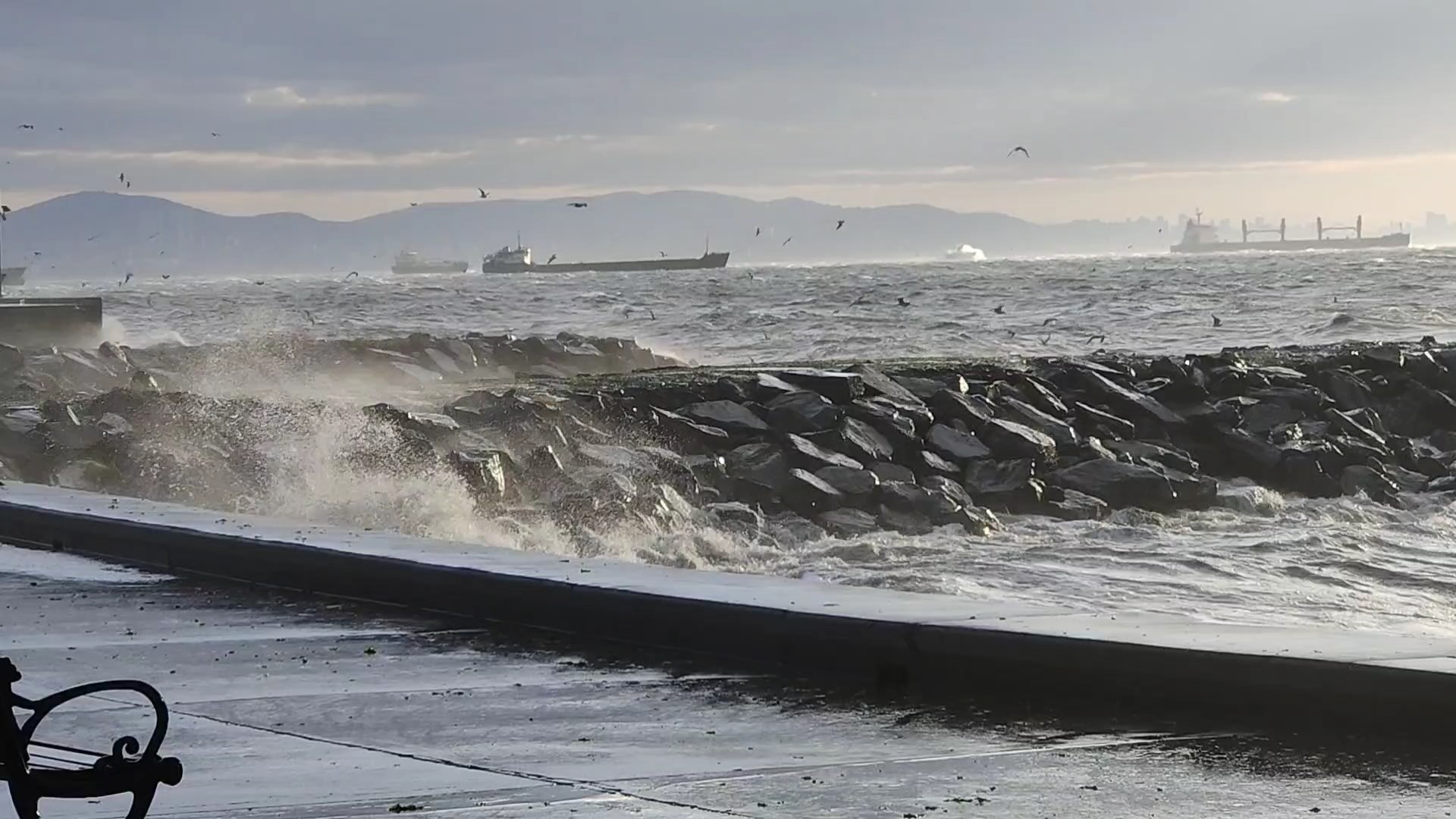 I S T A N B U L I S T A N B U L D A B A Z I V A P U R S E F E R L E 1087364 322768