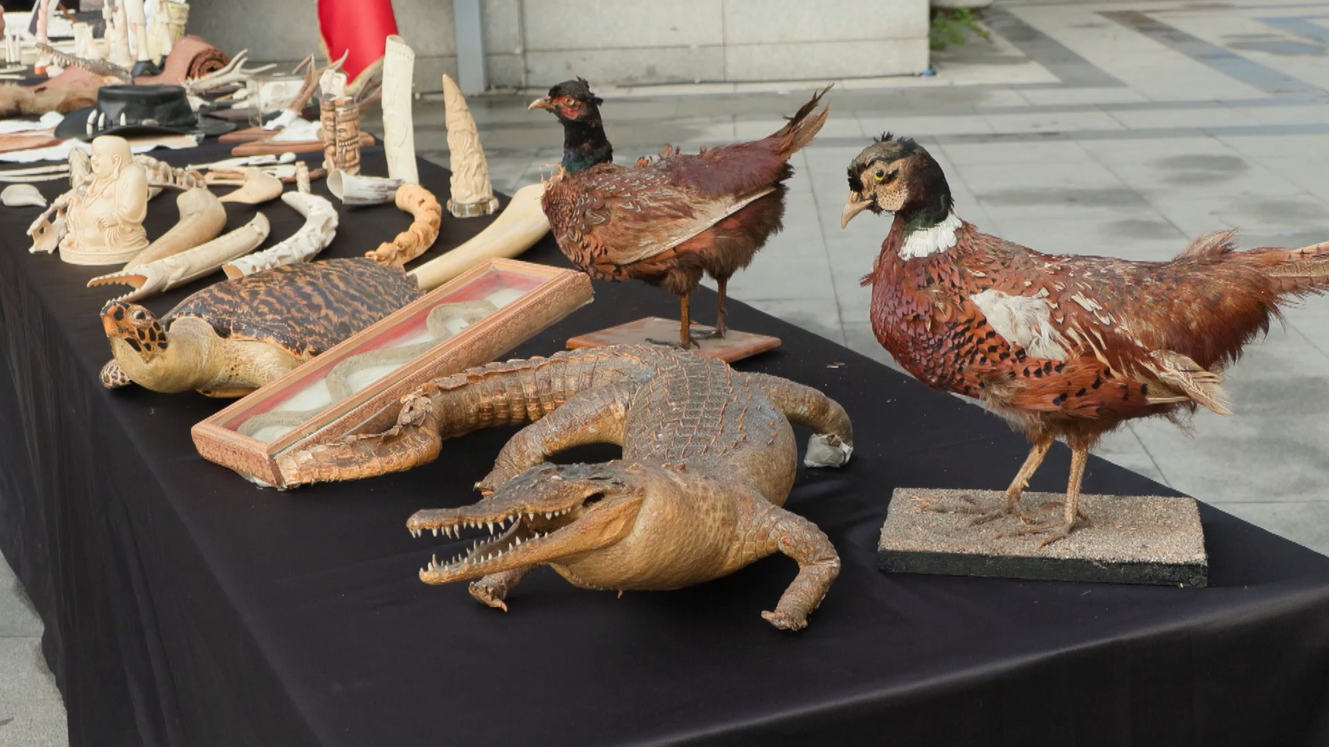 I S T A N B U L I S T A N B U L D A T A R I H I E S E R O P E R A S 1058021 313968