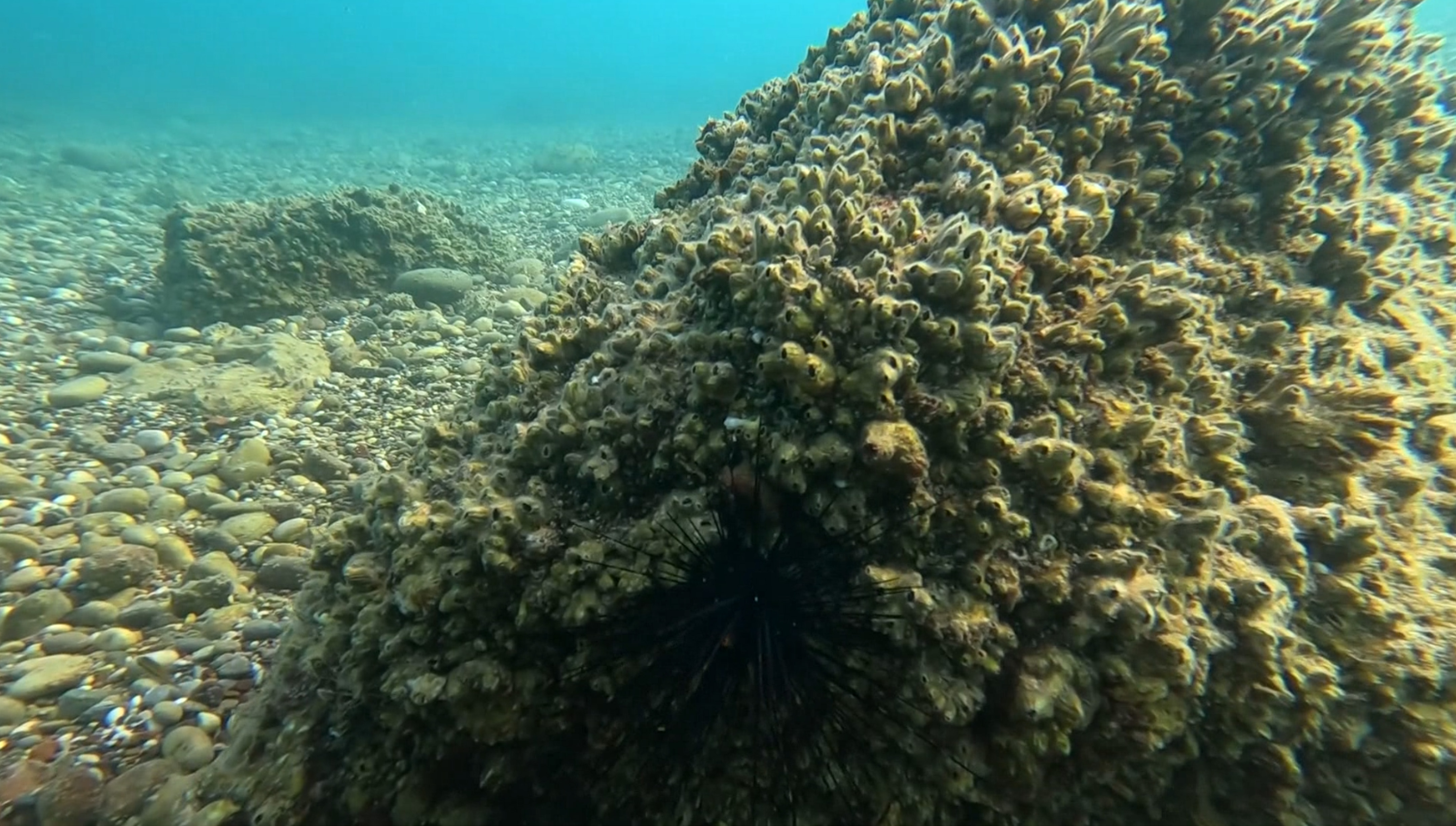 I S T I L A C I I S T I R I D Y E V E M I D Y E L E R Y E R L I D E 1051588 312058