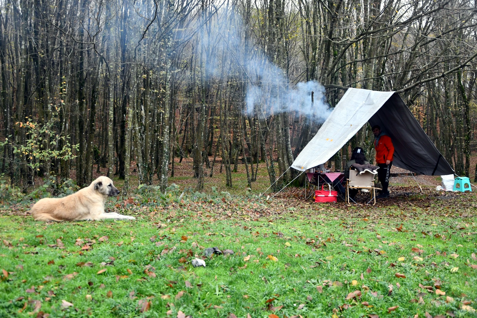 I S T R A N C A D A G L A R I E T E K L E R I D O G A F O T O G R A F 1052474 312289