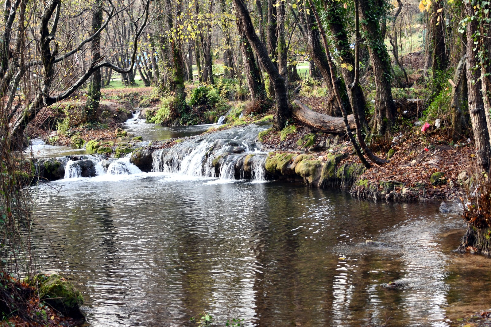 I S T R A N C A D A G L A R I E T E K L E R I D O G A F O T O G R A F 1052476 312289