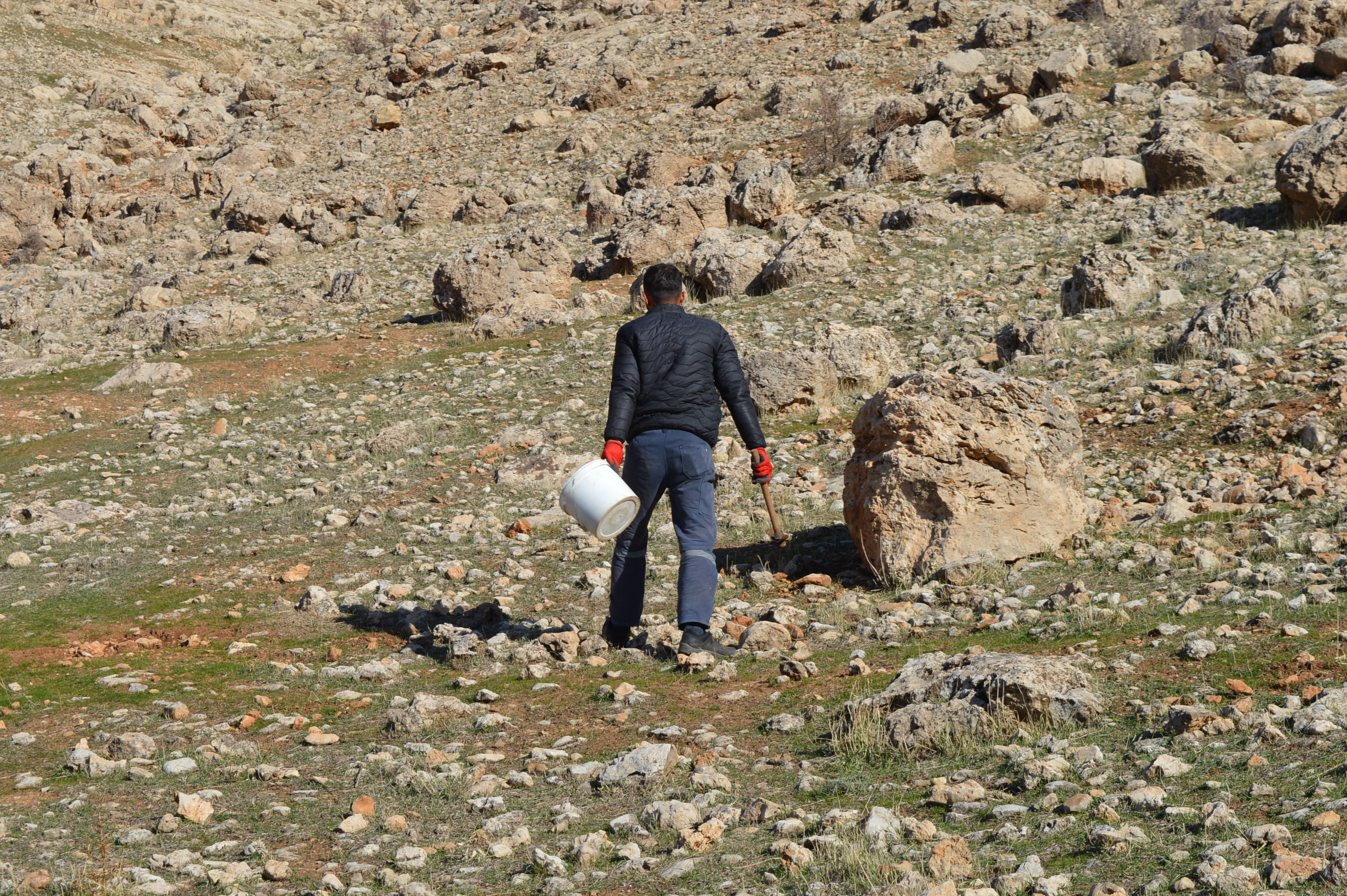 K U R E S E L I S I N M A Y A K A R S I 2 Y I L D A 20 B I N D E N 1074421 318819