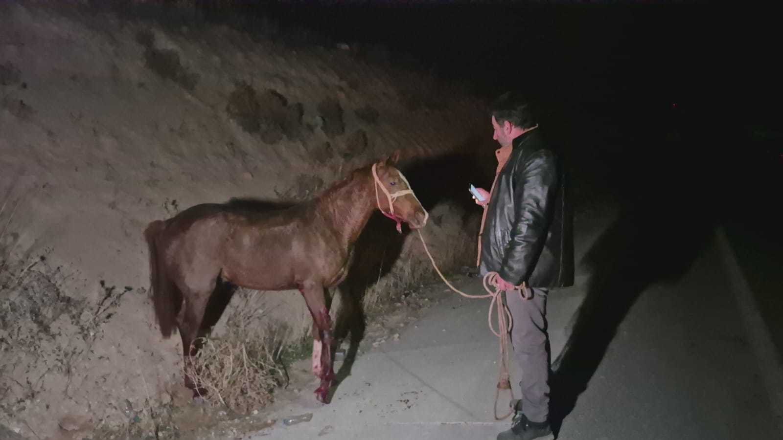 M A L A T Y A D A M I L Y O N L U K Y A R I S T A Y L A R I C I F T L 1080262 320619