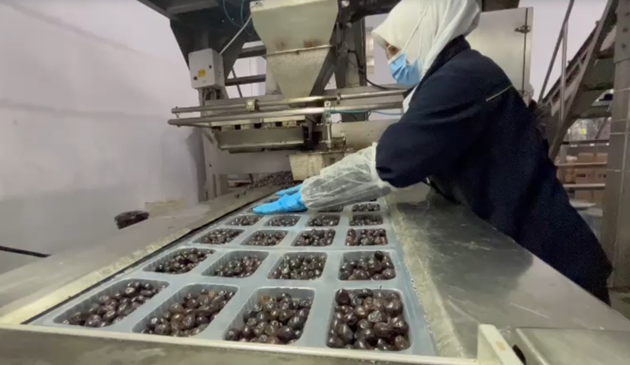 M E H M E T C I G I N K U M A N Y A Z E Y T I N I O Z E L O L A R A K 1051593 311563