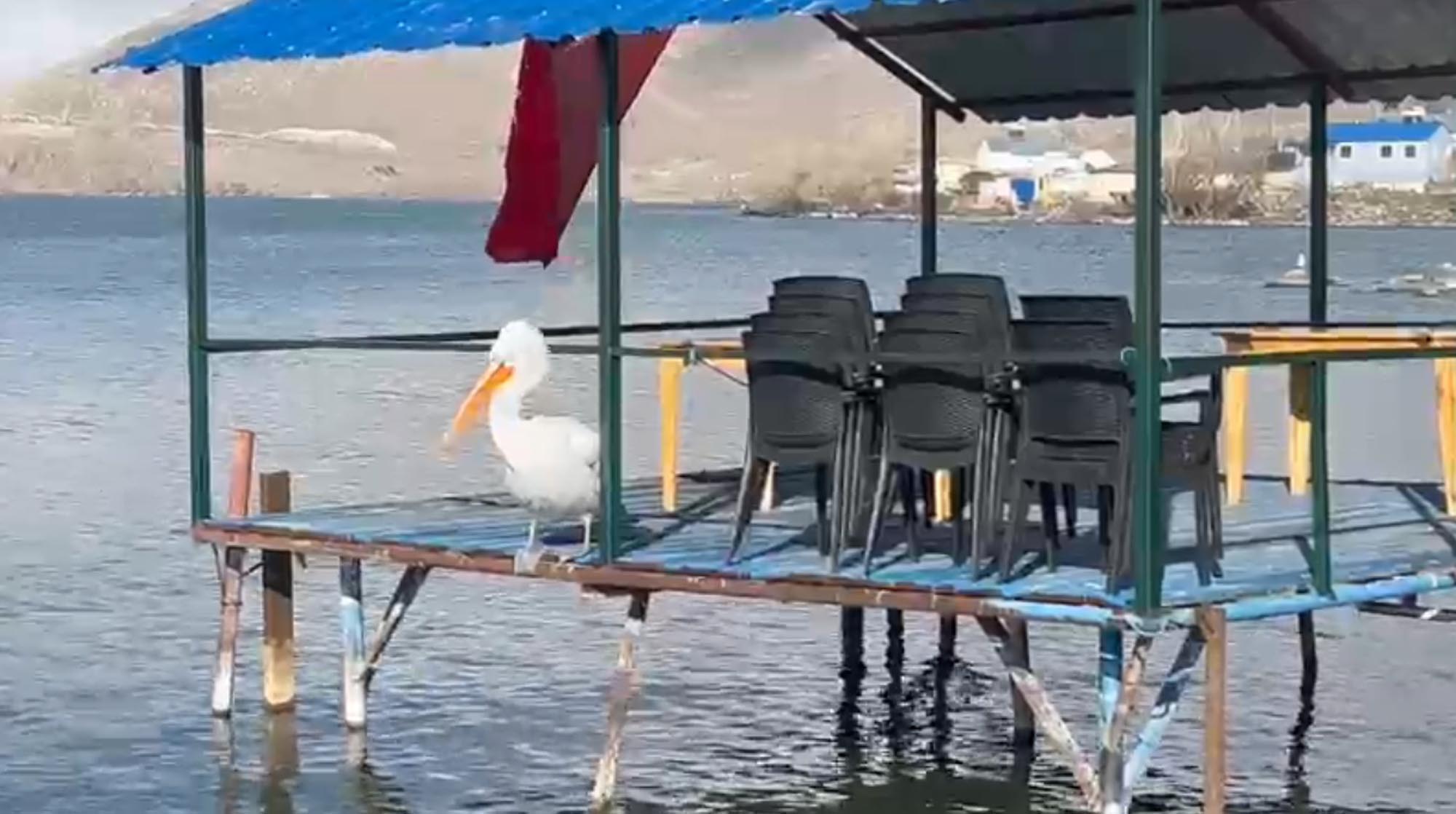 S I C A K L I K L A R M E V S I M N O R M A L I U Z E R I N D E C I L 1055204 313132