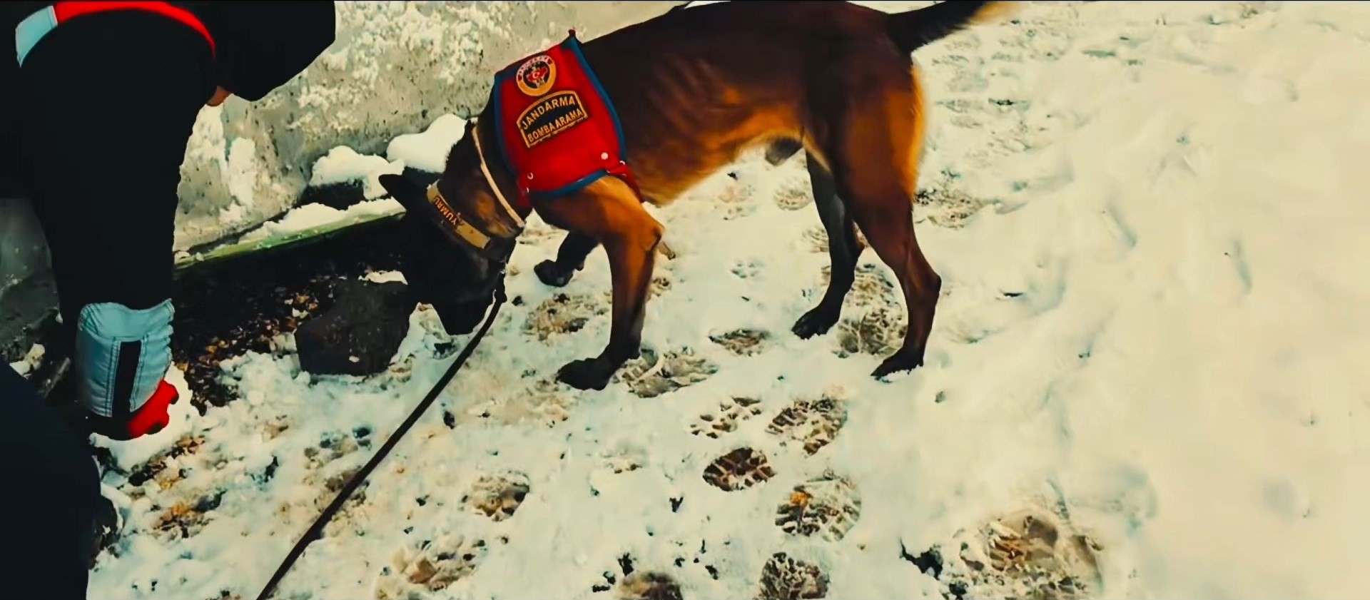 11 Y I L L I K C I N A Y E T I J A N D A R M A N I N K U R D U G U O 1124324 333586