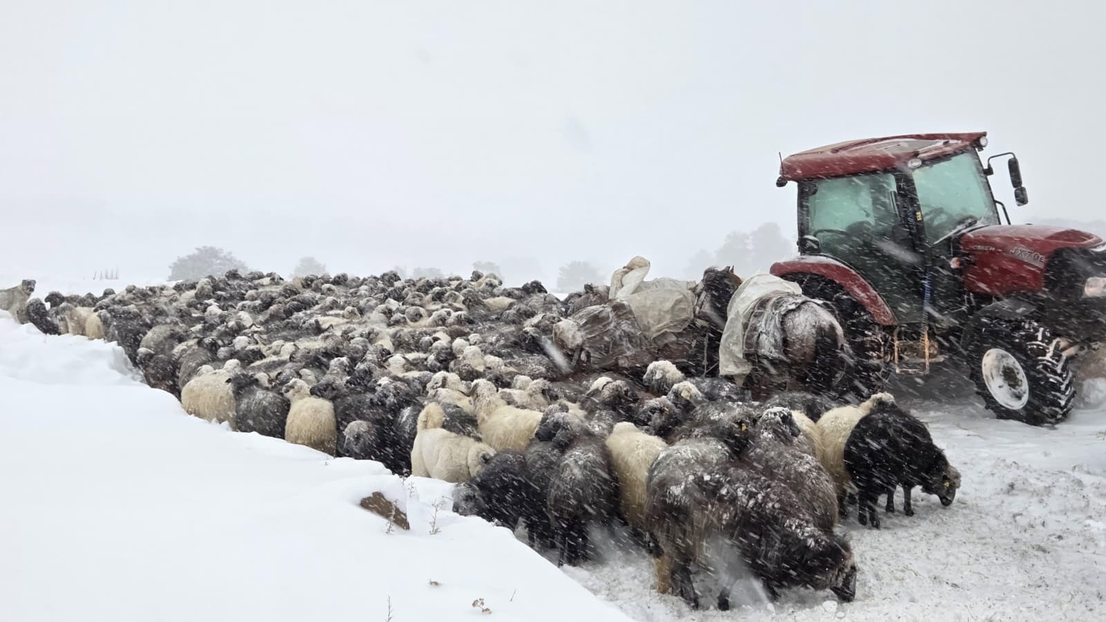 A R T V I N’ D E 1 K I S I N I N O L D U G U C I G D A K A R A L T 1091285 323980