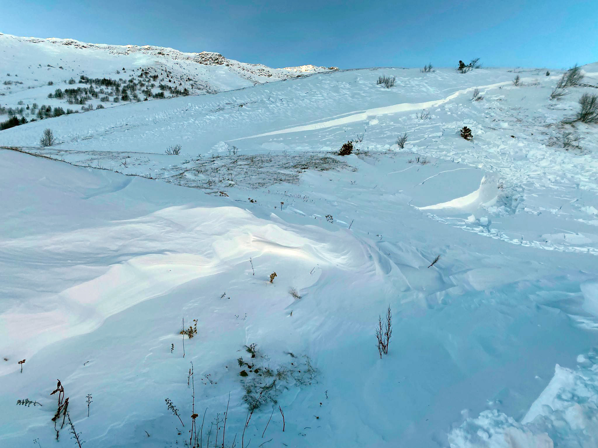 A R T V I N D E C I G A L T I N D A K A L A N C O B A N I A R A M A 1097407 325738