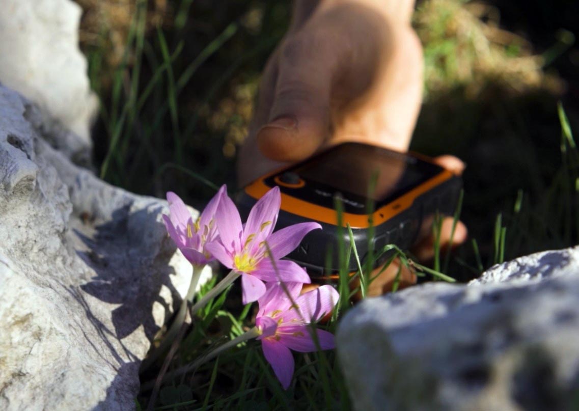 E N D E M I K T U R U K O P A R M A N I N C E Z A S I 699 B I N 2 1121756 332908-1