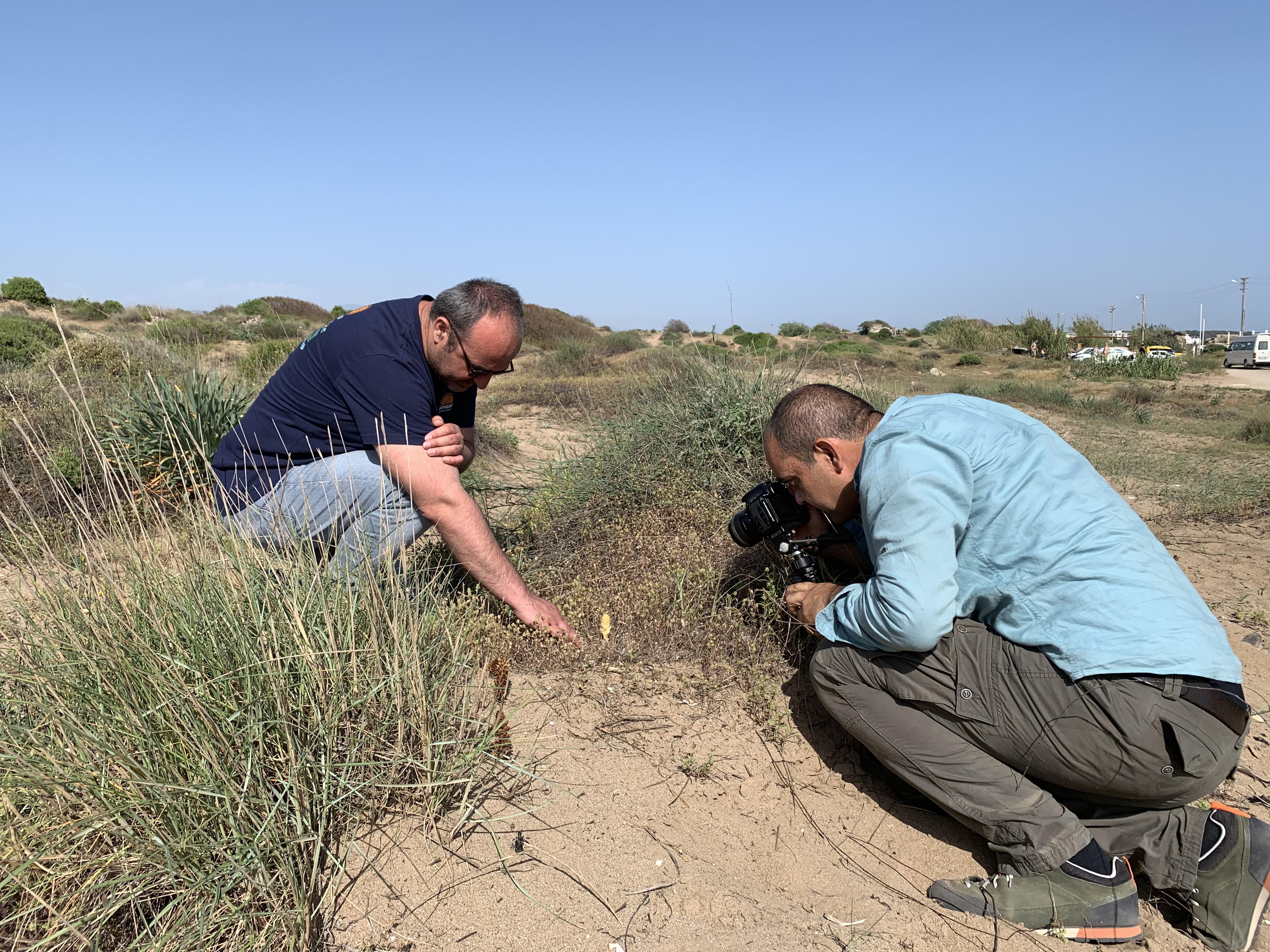 E N D E M I K T U R U K O P A R M A N I N C E Z A S I 699 B I N 2 1121758 332908