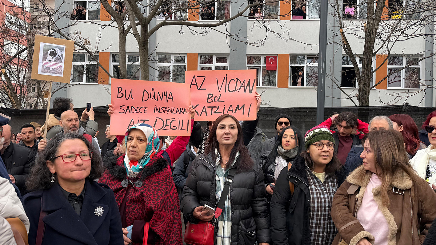 H A Y V A N S E V E R L E R D E N M A T M A Z E L I C I N B A S I N 1102631 327326