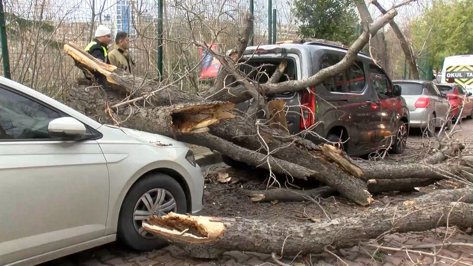 I S T A N B U L S I S L I V E B E S I K T A S’ T A A G A C L A R 1096345 325441