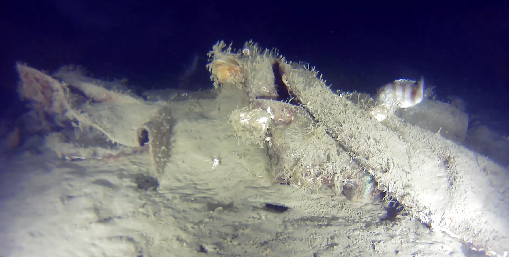 I S T A N B U L T H Y N I N 50 Y I L O N C E D U S E N U C A 1133633 336548