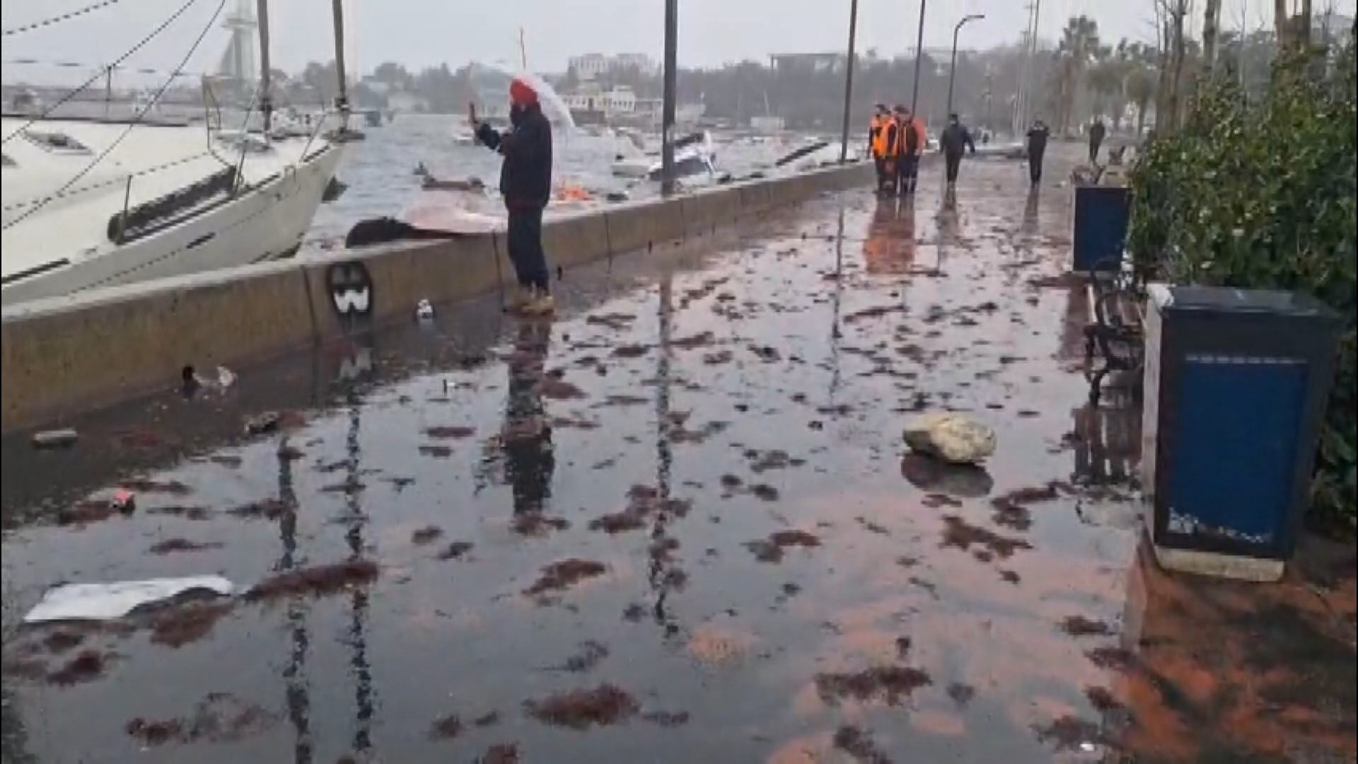 I S T A N B U L T U Z L A D A F I R T I N A N E D E N I Y L E B A Z 1104731 327908