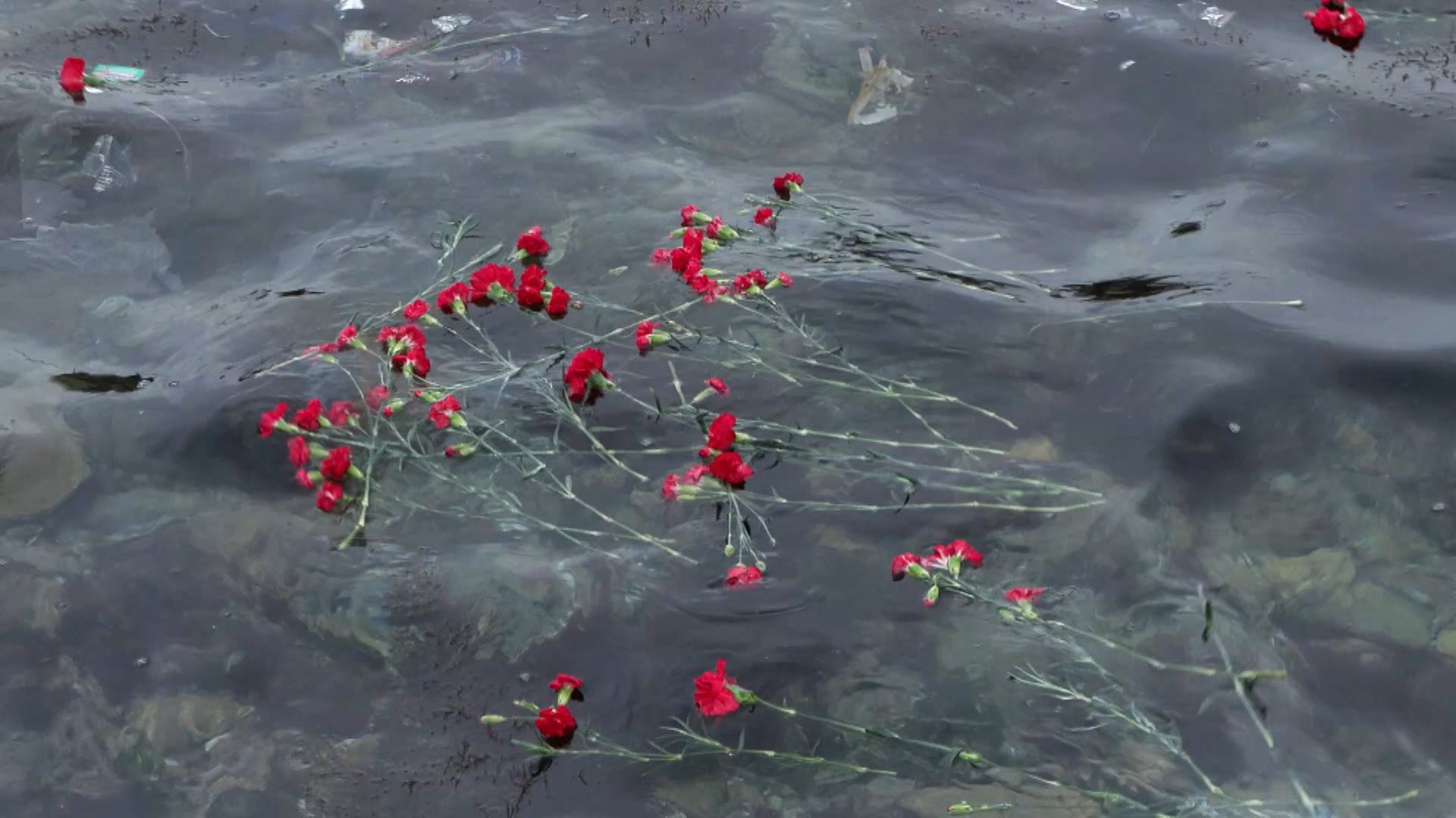 I S T A N B U L T U Z L A D A K A R T A L K A Y A’ D A K I Y A N G 1122471 333104