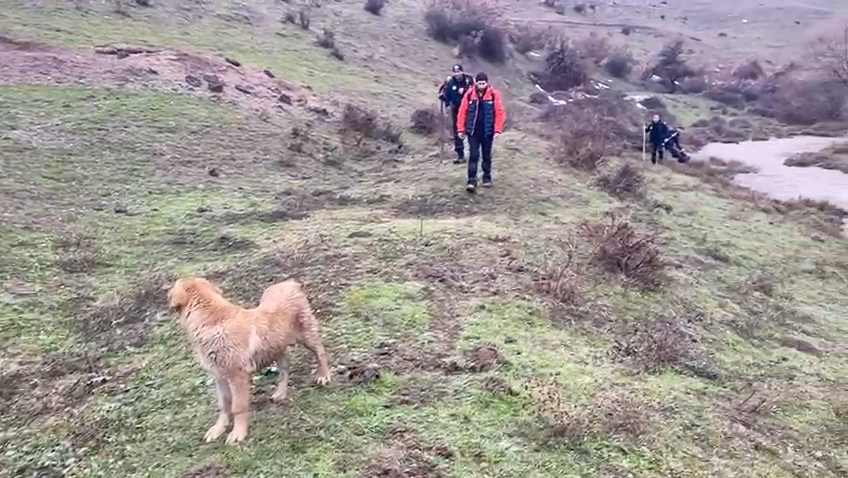 K A Y I P K A D I N I A R A M A C A L I S M A L A R I 10 U N C U G 1143155 339439