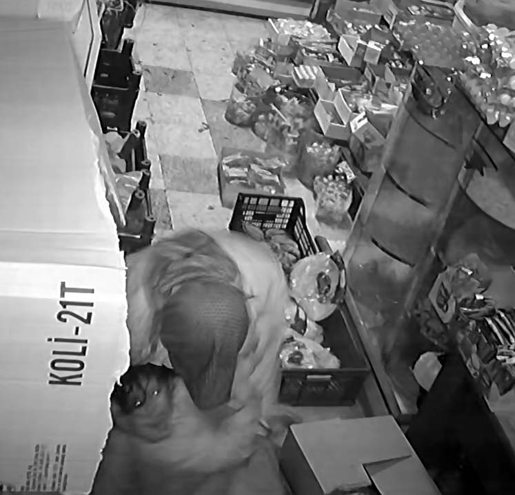 K E N D I S I N D E N K A C I P M A R K E T E S I G I N A N K U C U K 1096298 325425