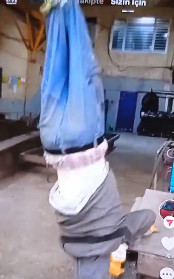 A Y A G I N D A N V I N C E A S I L A N Z I H I N S E L E N G E L L I 1164049 345777