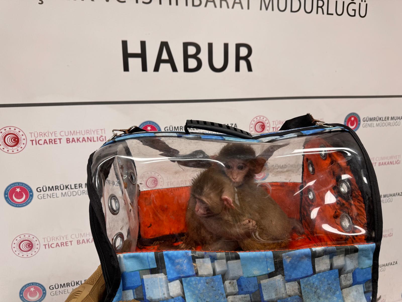 G U M R U K L E R M U H A F A Z A E K I P L E R I 2025 T E 85 1168818 347187