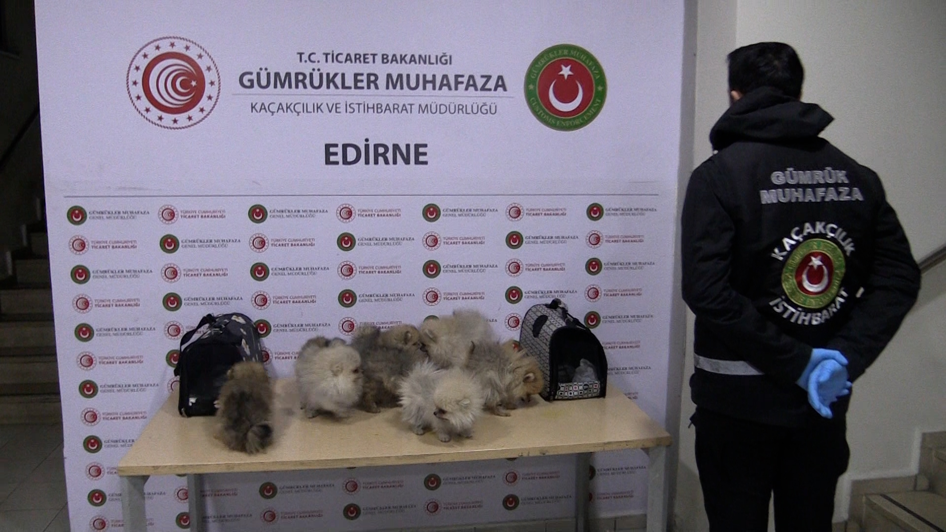 G U M R U K L E R M U H A F A Z A E K I P L E R I 2025 T E 85 1168825 347187