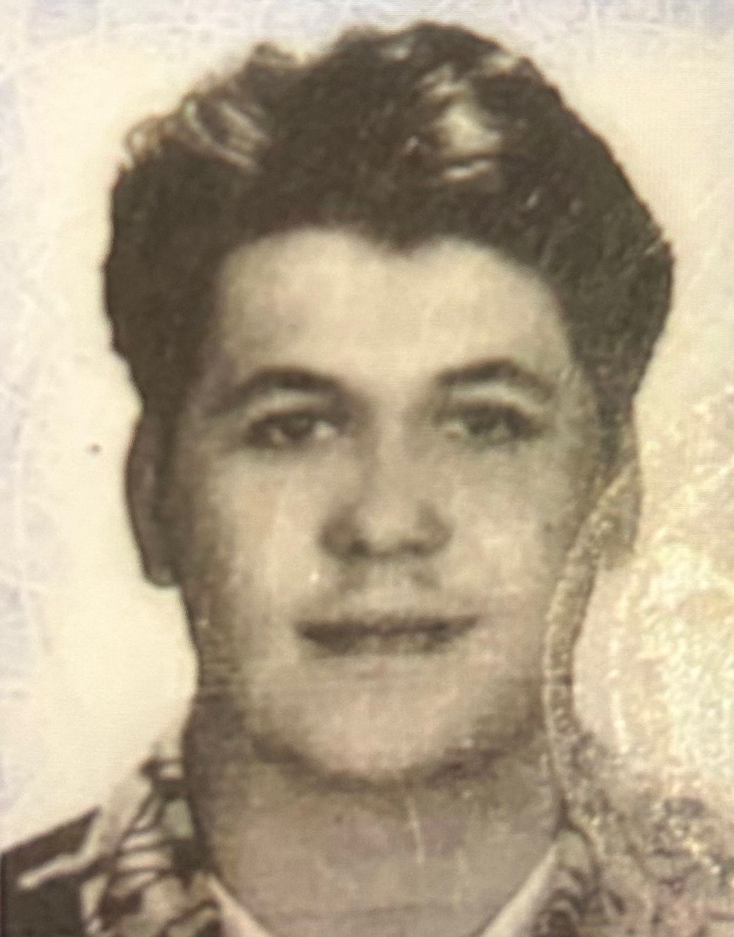 I N T E R N E T T E N T A N I S I P E V I N E D A V E T E T T I G I 1173493 348576