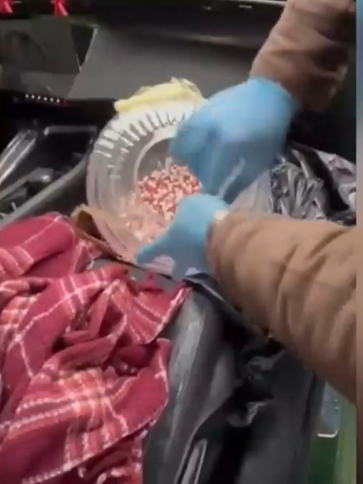 I S T A N B U L A V C I L A R’ D A 25 K I L O U Y U S T U R U C U 1163239 345532