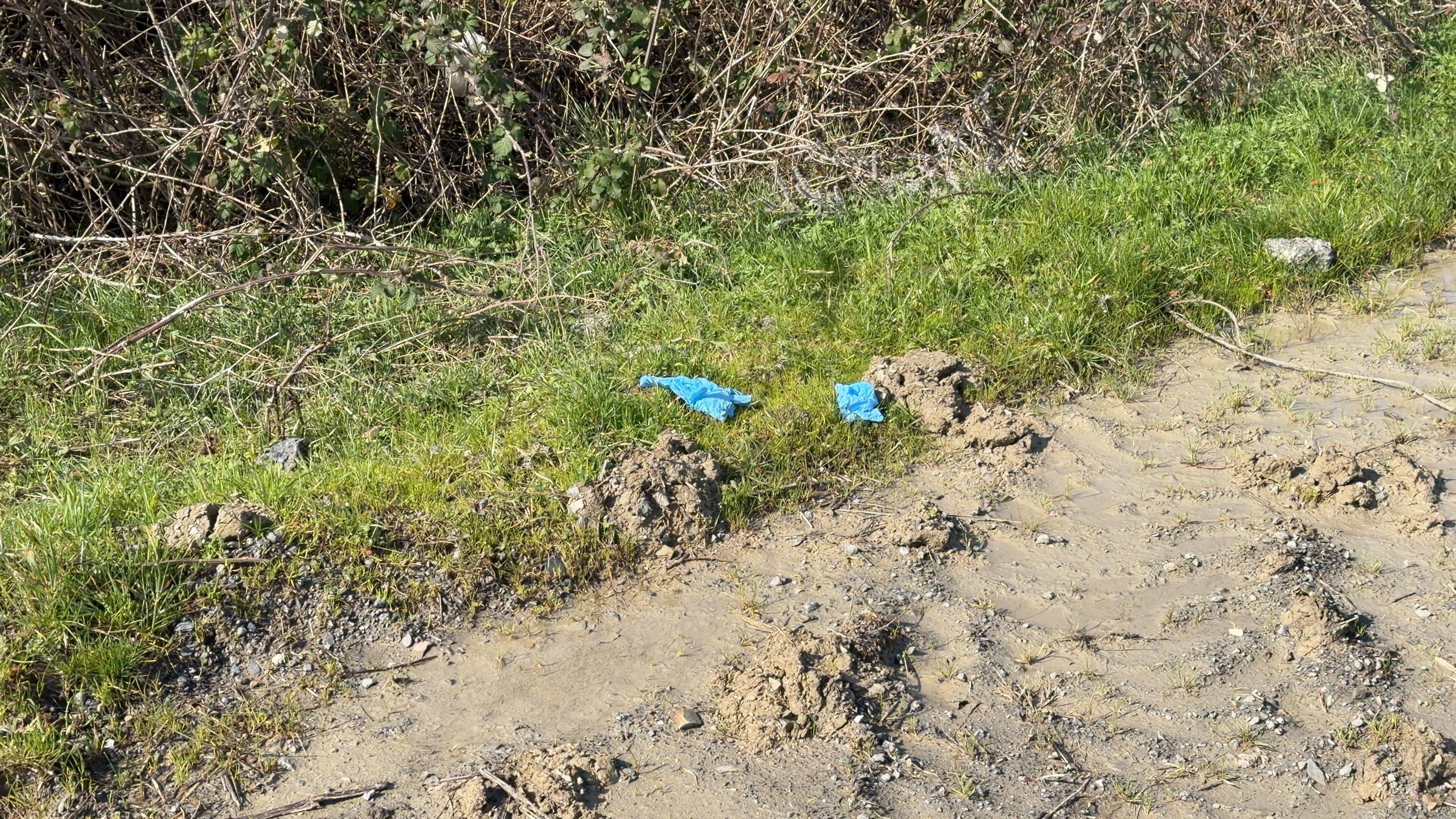 I S T A N B U L C I N L I I S I N S A N I N I N C E S E D I E L L 1182166 351128