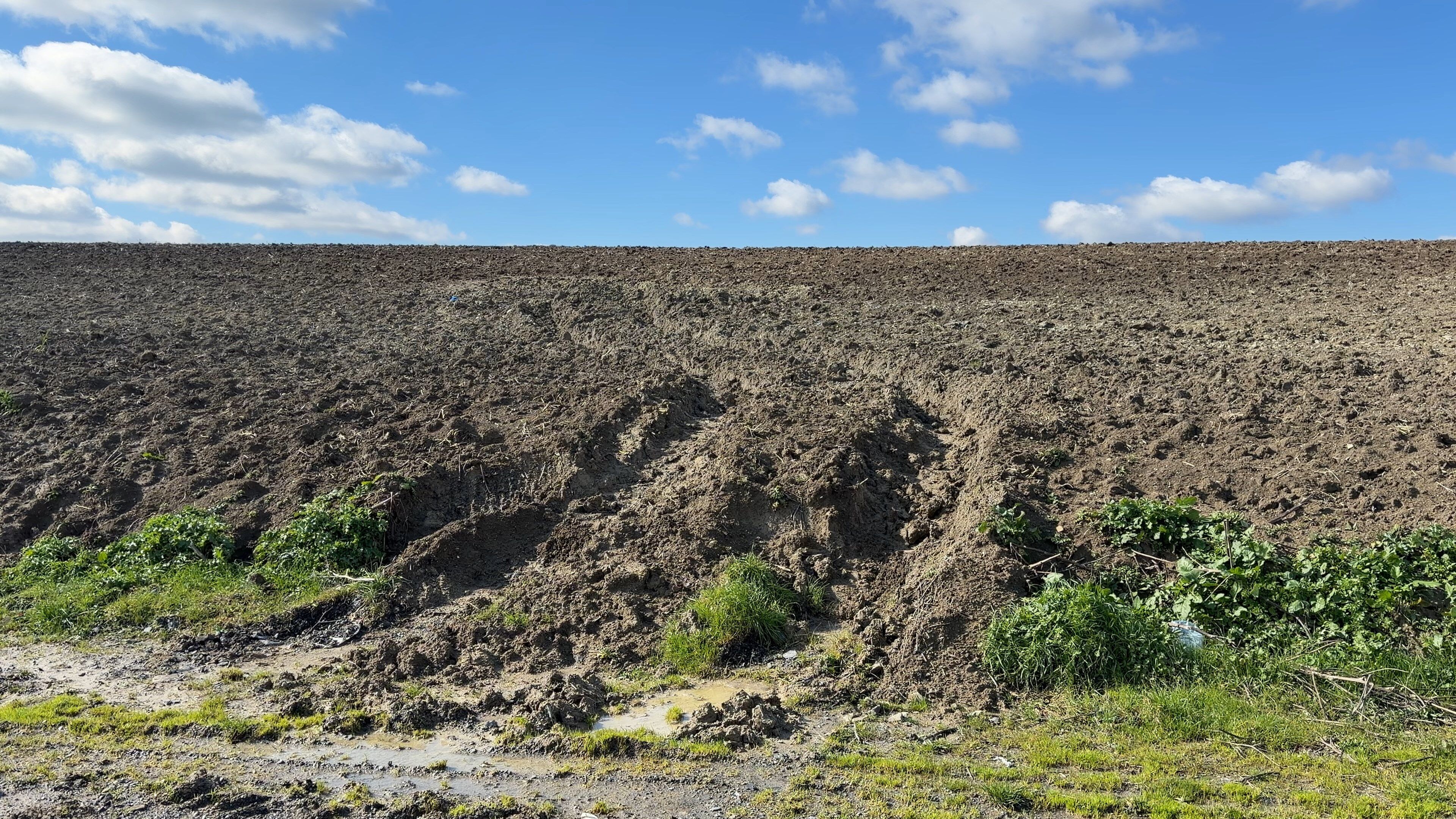 I S T A N B U L C I N L I I S I N S A N I N I N C E S E D I E L L 1182168 351128