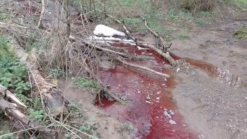 I S T A N B U L O M E R L I B A R A J I Y A K I N I N D A K I R M I 1158910 344108