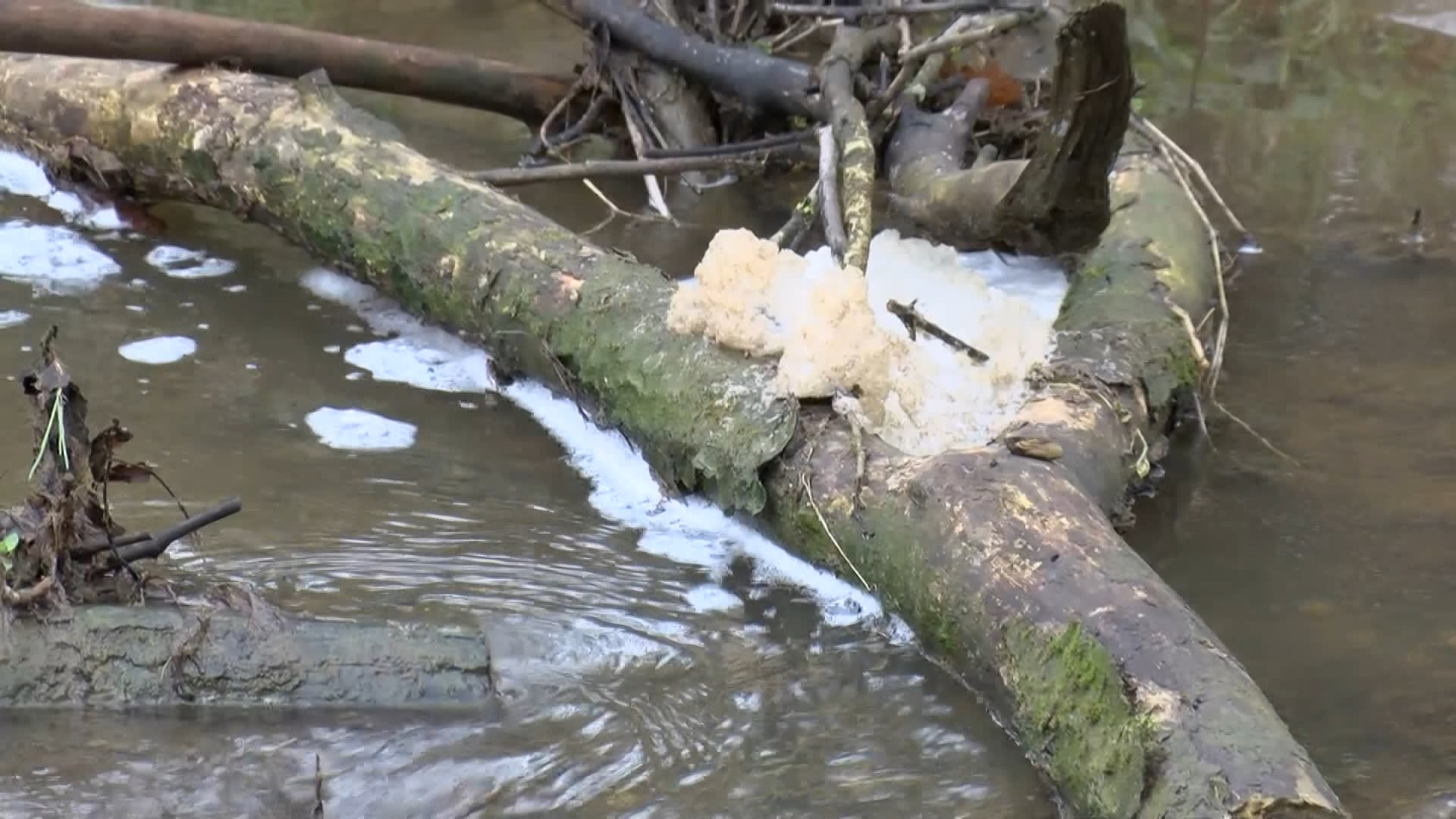 I S T A N B U L O M E R L I B A R A J I Y A K I N I N D A K I R M I 1158913 344108