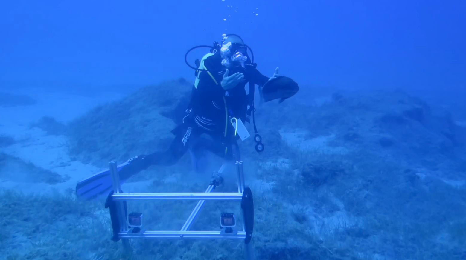 K A R A D E N I Z D E S E S S I Z K A T I L H A Y A L E T A G L A R 1160614 344657